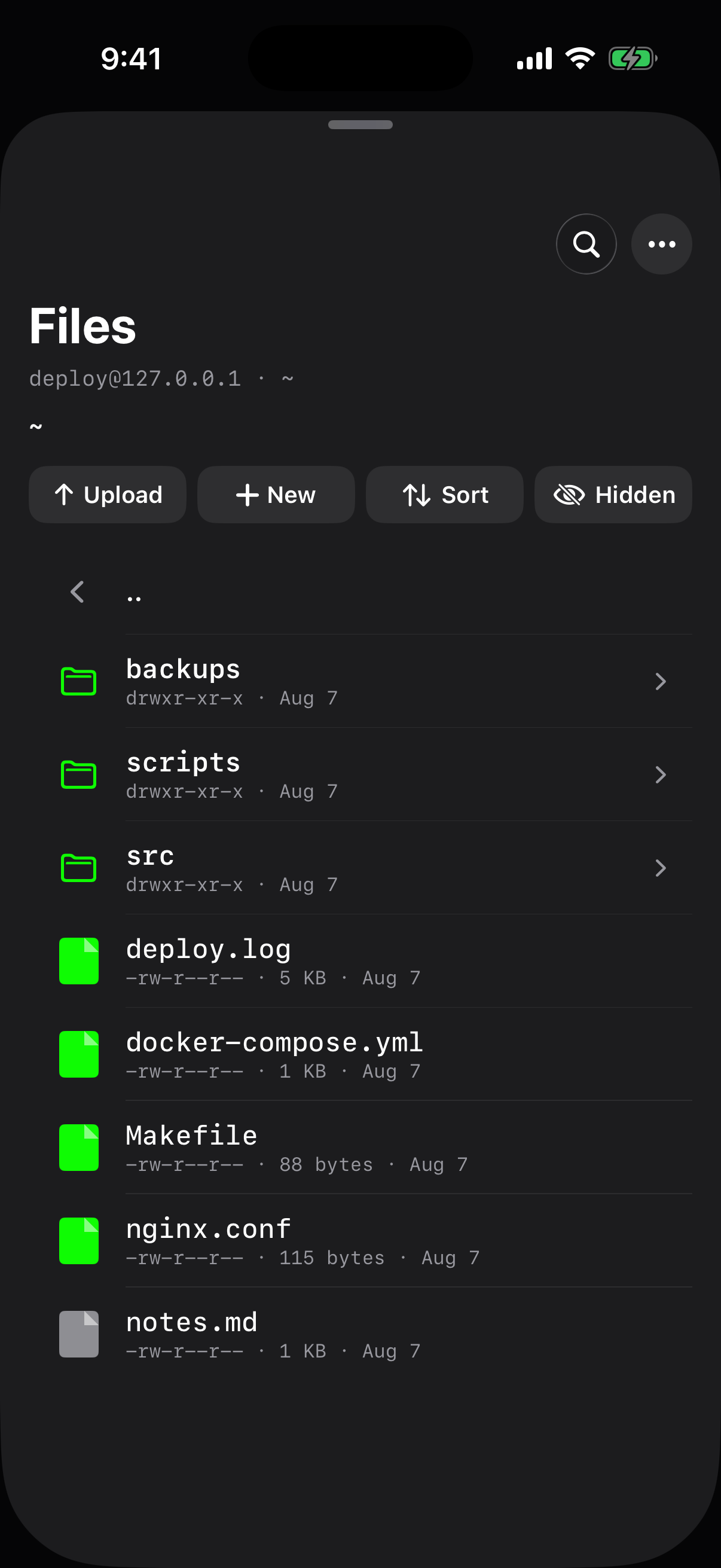 SFTP file browser with permissions, sizes and dates
