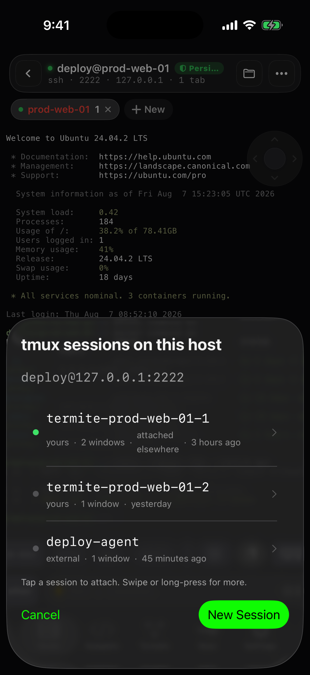 tmux session picker — attach to any session on the host